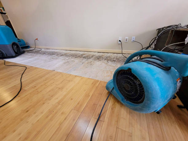 Professional Water Damage Repair technician working in Maxatawny, PA